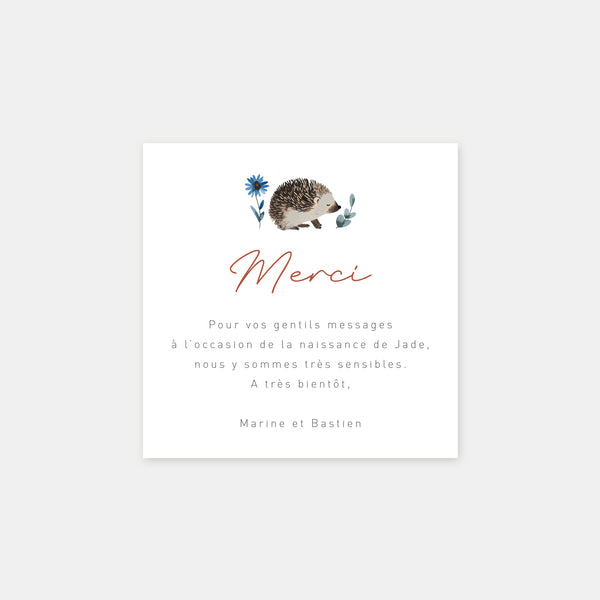 Hedgehog birth thank you card