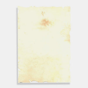Papier Parchemin Blanc Neutre A4 210x297mm 160g/m² Paquet de 12 Feuilles